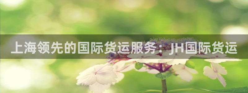 尊龙王t400：上海领先的国际货运服务：JH国际货运