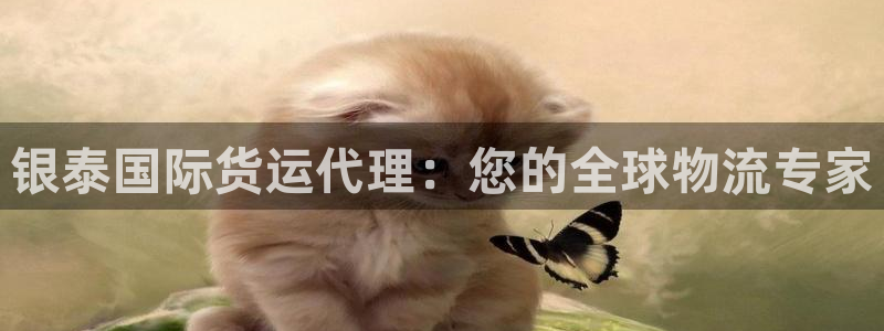 尊龙人生就是博：银泰国际货运代理：您的全球物流专家