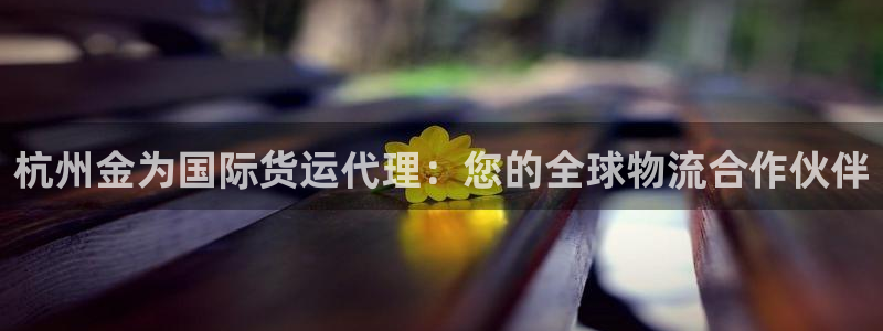尊龙凯时代理：杭州金为国际货运代理：您的全球物流合作伙伴
