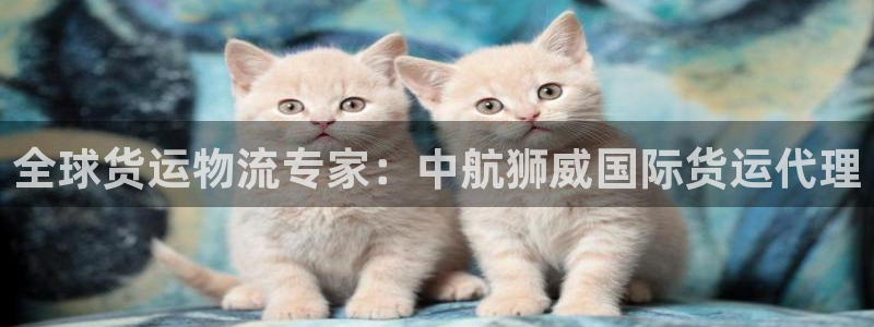 尊龙凯时 - 人生就是搏!提款怎么样：全球货运物流专家：