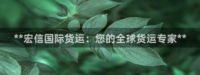 尊龙游戏官网：**宏信国际货运：您的全球货运专家**