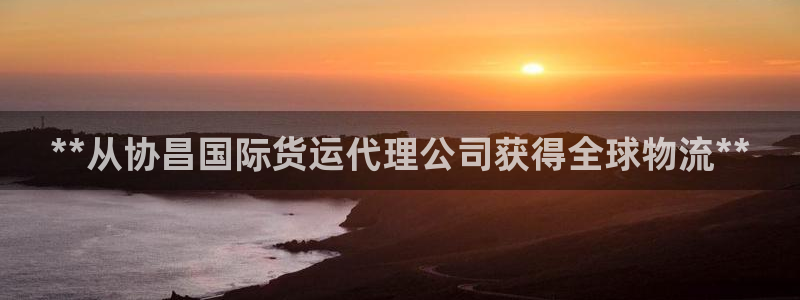 尊龙这个平台怎么样：**从协昌国际货运代理公司获得全球物