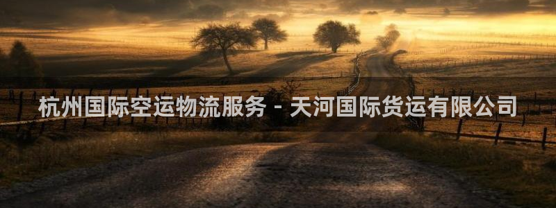 尊龙2020：杭州国际空运物流服务 - 天河国际货运有限