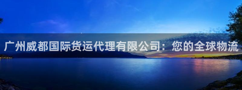 尊龙凯时电竞：广州威都国际货运代理有限公司：您的全球物流