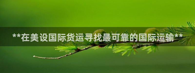 尊龙集团有限公司是国企吗：**在美设国际货运寻找最可靠的
