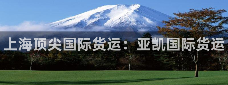 尊龙负面新闻：上海顶尖国际货运：亚凯国际货运
