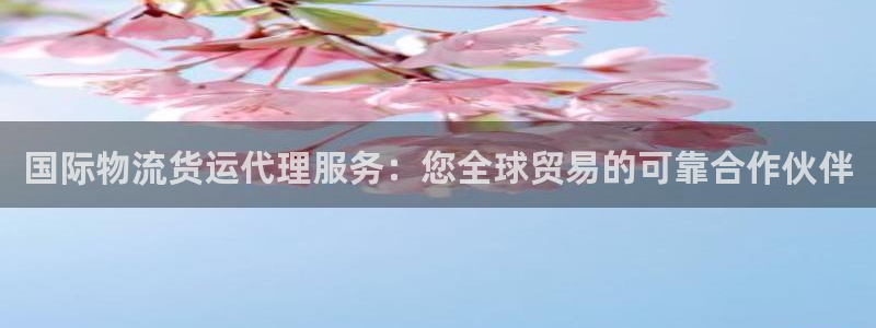 尊龙凯时网站网址：国际物流货运代理服务：您全球贸易的可靠