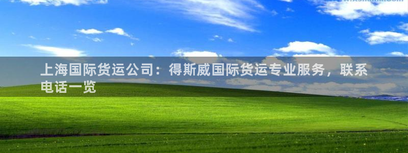 尊龙z6官网ag：上海国际货运公司：得斯威国际货运专业服