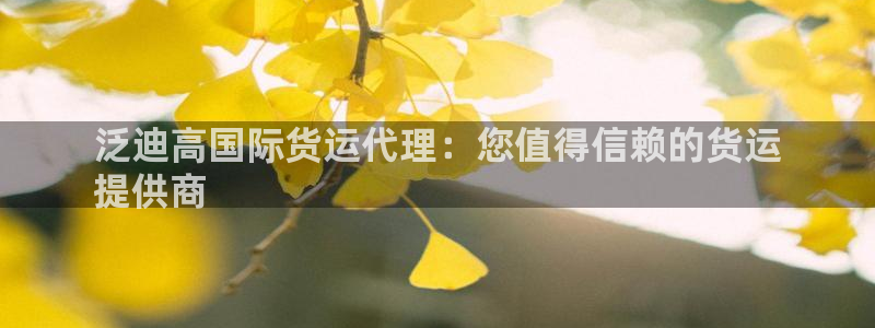 尊龙专访：泛迪高国际货运代理：您值得信赖的货运
提供商