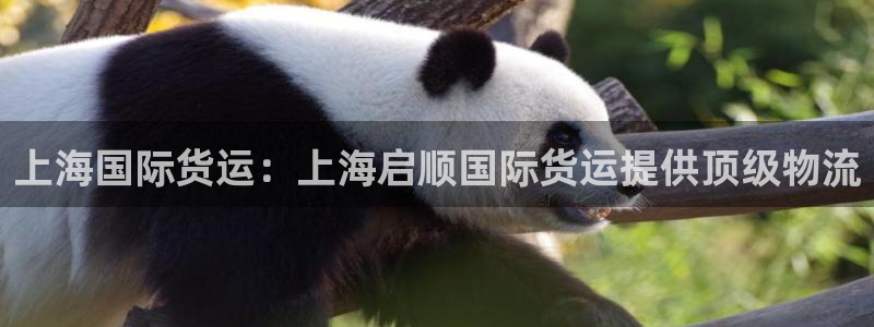 尊龙凯时注册：上海国际货运：上海启顺国际货运提供顶级物流