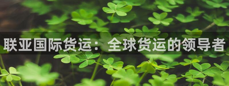 尊龙凯时白家乐：联亚国际货运：全球货运的领导者