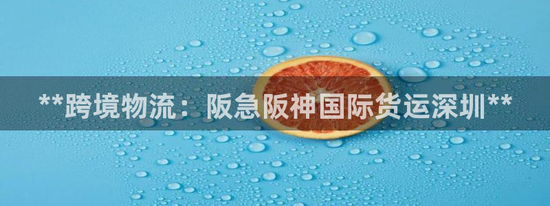 z6尊龙官网平台下载：**跨境物流：阪急阪神国际货运深圳