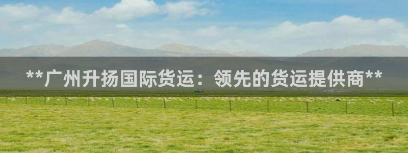 尊龙凯时注册地址：**广州升扬国际货运：领先的货运提供商