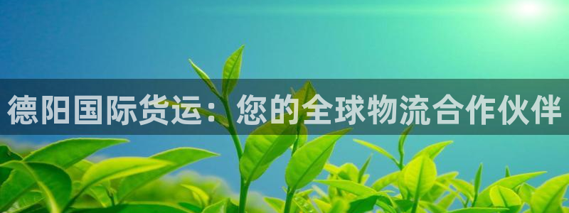 尊龙eight is enough：德阳国际货运：您的全