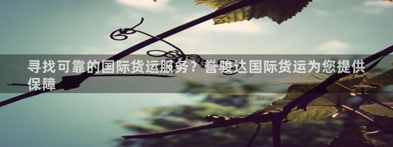 下载尊龙：寻找可靠的国际货运服务？誉骏达国际货运为您提供