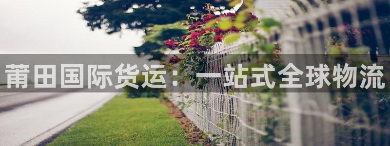 尊龙人生就是博登录：莆田国际货运：一站式全球物流