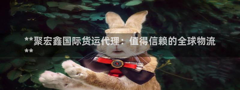 z6尊龙凯时旗舰厅首页：**聚宏鑫国际货运代理：值得信赖