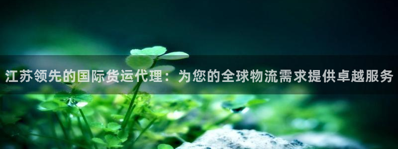 尊龙人生就是博送38：江苏领先的国际货运代理：为您的全球
