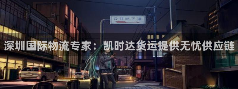 尊龙凯时品牌介绍：深圳国际物流专家：凯时达货运提供无忧供