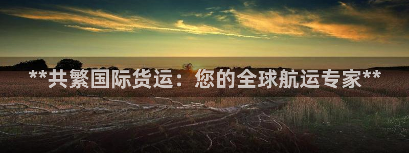 尊龙AG发财网：**共繁国际货运：您的全球航运专家**