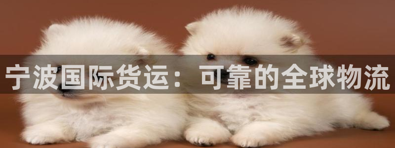尊龙棋牌旗舰店：宁波国际货运：可靠的全球物流