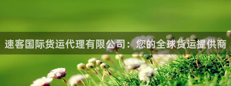 尊龙软件下载：速客国际货运代理有限公司：您的全球货运提供