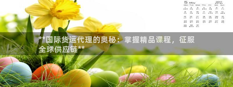 尊龙ktv怎么样：**国际货运代理的奥秘：掌握精品课程，