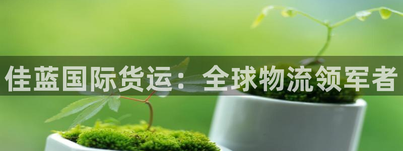 尊龙z6集团：佳蓝国际货运：全球物流领军者