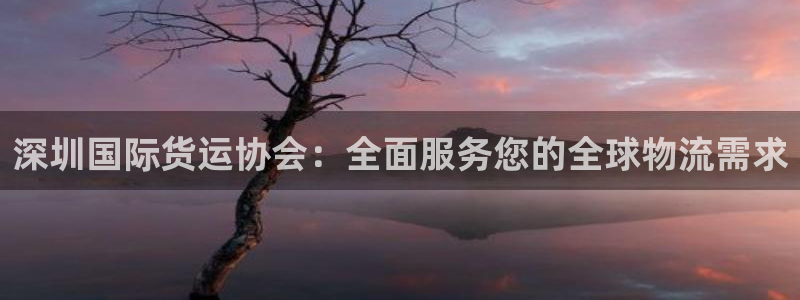 尊龙凯时不朽情缘：深圳国际货运协会：全面服务您的全球物流