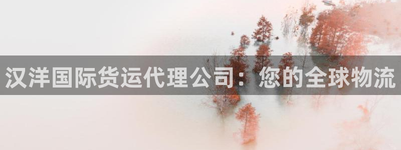 尊龙凯时平台还是万搏好：汉洋国际货运代理公司：您的全球物
