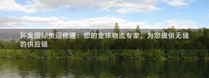 尊龙凯时app安装：环发国际货运代理：您的全球物流专家，