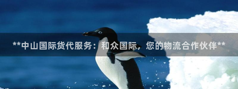 尊龙凯时官网网址：**中山国际货代服务：和众国际，您的物