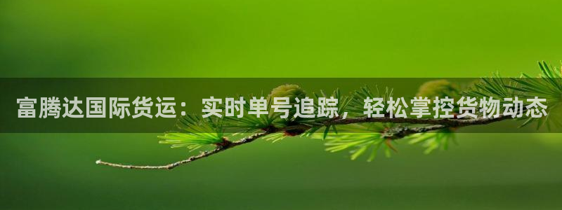 尊龙软件下载：富腾达国际货运：实时单号追踪，轻松掌控货物