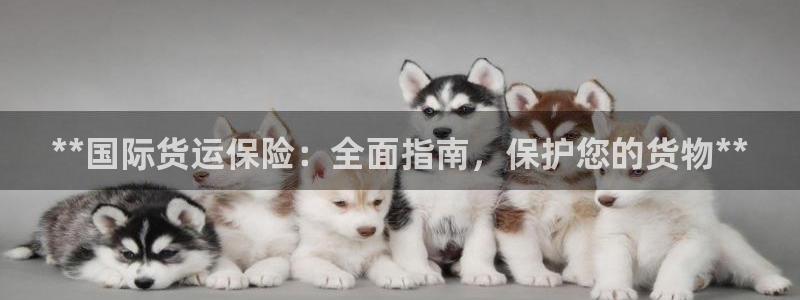 尊龙凯时贴吧：**国际货运保险：全面指南，保护您的货物*