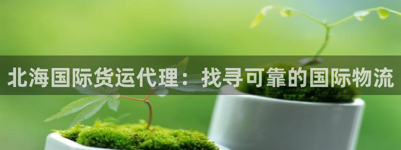 尊龙凯时美金能提取吗：北海国际货运代理：找寻可靠的国际物