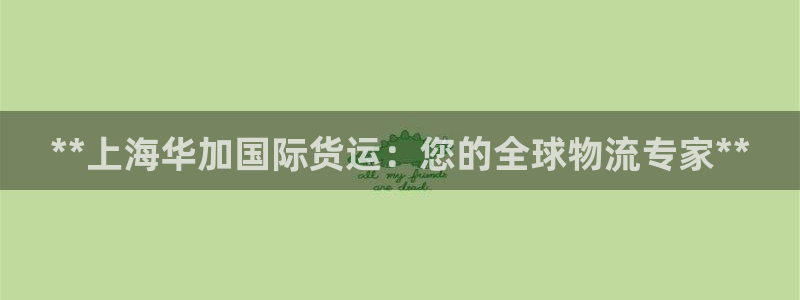 尊龙凯时凯发官网：**上海华加国际货运：您的全球物流专家