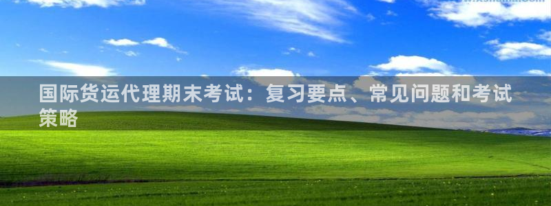 尊龙棋牌老板是谁：国际货运代理期末考试：复习要点、常见问