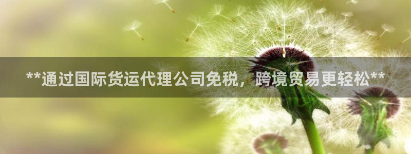 尊龙z6.con：**通过国际货运代理公司免税，跨境贸易