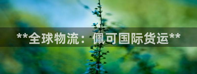 尊龙人生就是博中国区：**全球物流：佩可国际货运**