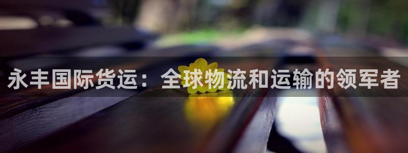 尊龙凯时是赌博嘛：永丰国际货运：全球物流和运输的领军者