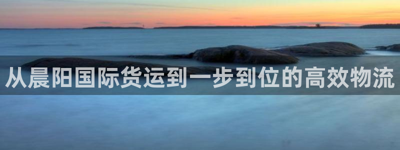 尊龙人生就是傅官网：从晨阳国际货运到一步到位的高效物流