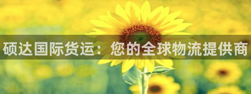 尊龙下载推荐网站：硕达国际货运：您的全球物流提供商