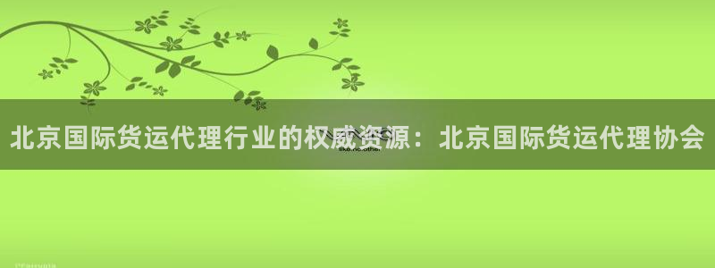 尊龙凯时官网平台：北京国际货运代理行业的权威资源：北京国