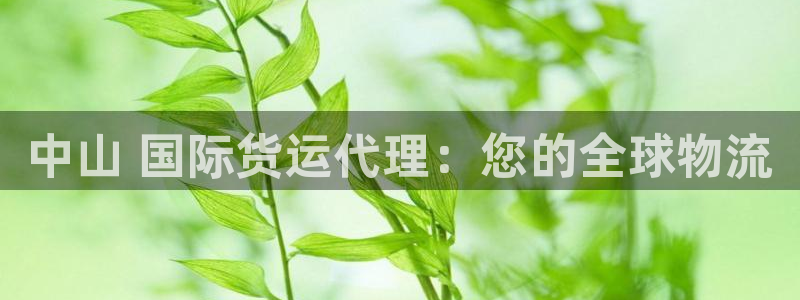 尊龙人生就是博旧：中山 国际货运代理：您的全球物流