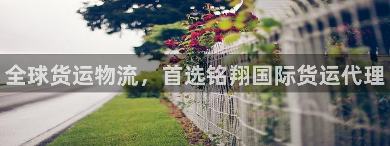 尊龙凯时美金能提取吗