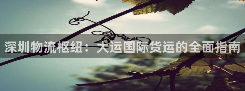 尊龙—人生就是博：深圳物流枢纽：大运国际货运的全面指南