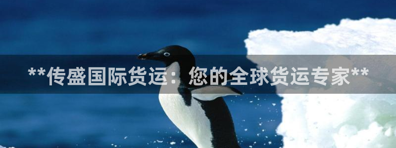 尊龙凯时ag旗舰厅官方网站：**传盛国际货运：您的全球货