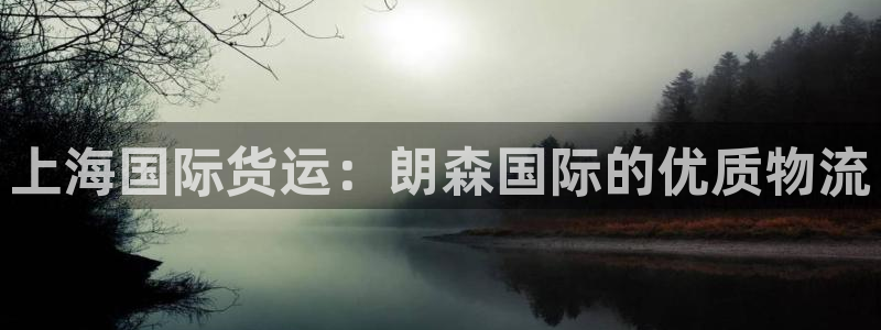 ag旗舰平台尊龙代言：上海国际货运：朗森国际的优质物流