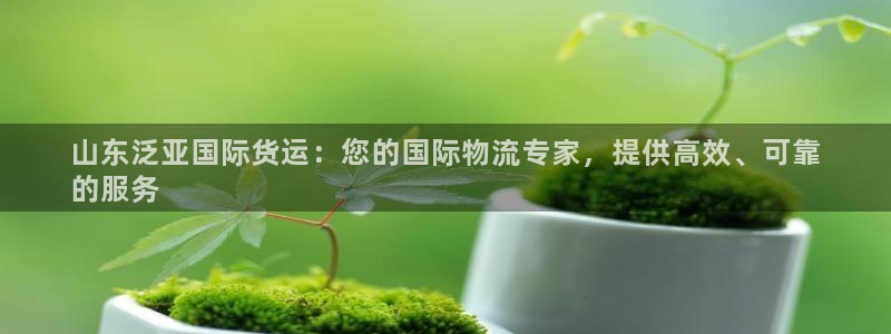 尊龙目前在哪