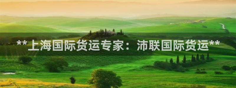 尊龙凯时-人生就是博中国官网首页：**上海国际货运专家：